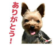 843339252