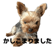 843339258
