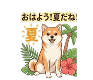 843339305
