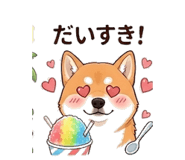 843339306