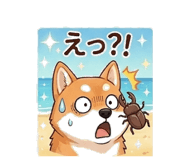 843339315