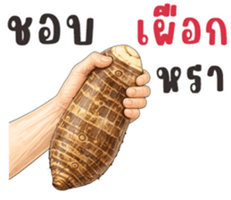 มือหยิบอะไร? รูปที่ 3