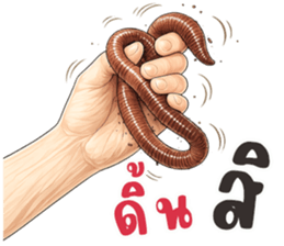 มือหยิบอะไร? รูปที่ 7