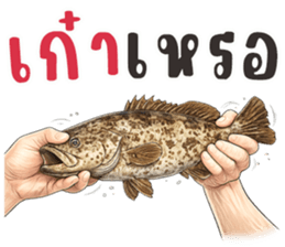 มือหยิบอะไร? รูปที่ 11