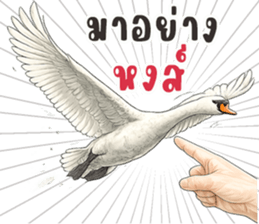 มือหยิบอะไร? รูปที่ 12