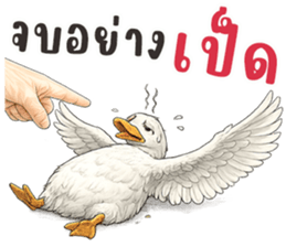 มือหยิบอะไร? รูปที่ 13