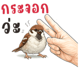 มือหยิบอะไร? รูปที่ 14