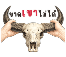 มือหยิบอะไร? รูปที่ 15