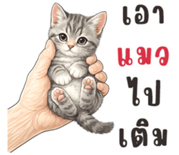 มือหยิบอะไร? รูปที่ 23