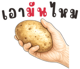 มือหยิบอะไร? รูปที่ 24