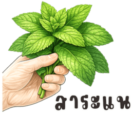 มือหยิบอะไร? รูปที่ 33