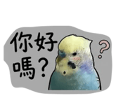 843345761