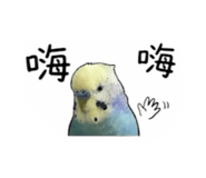 843345762