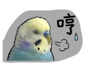 843345763