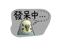 843345764