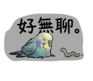 843345765