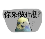 843345767