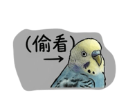 843345770