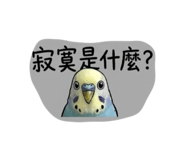 843345771