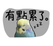 843345774