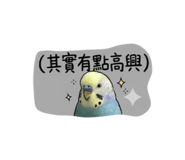 843345776