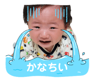 843346388