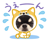 843346565