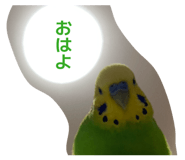 843346593