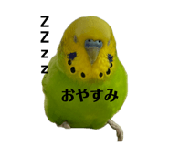 843346594