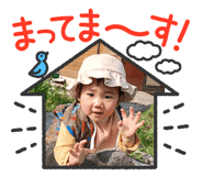 843346633
