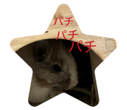 843346697