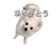 843346778