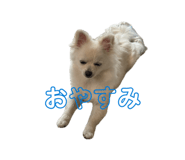 843346780