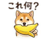 843346966