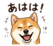843346995