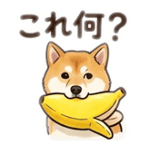 843347000