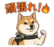 843347019