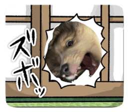 843347112