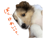 843347120