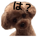 843347177