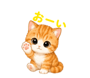 843347438