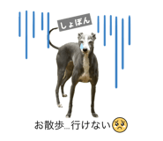 843347458