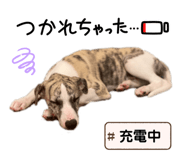 843347473