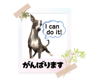 843347476