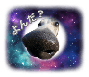 843347479