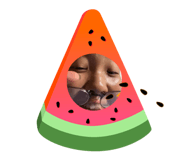 843347658