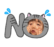 843347685