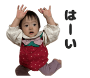 843347761