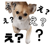 843347817