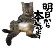 843347835